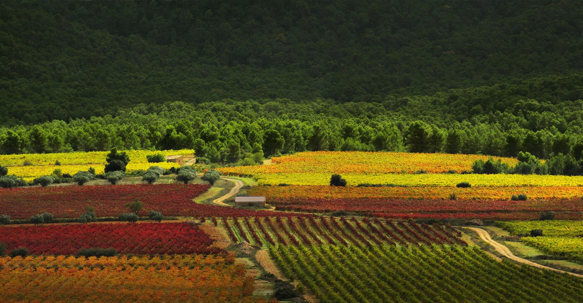 Territorio_B01