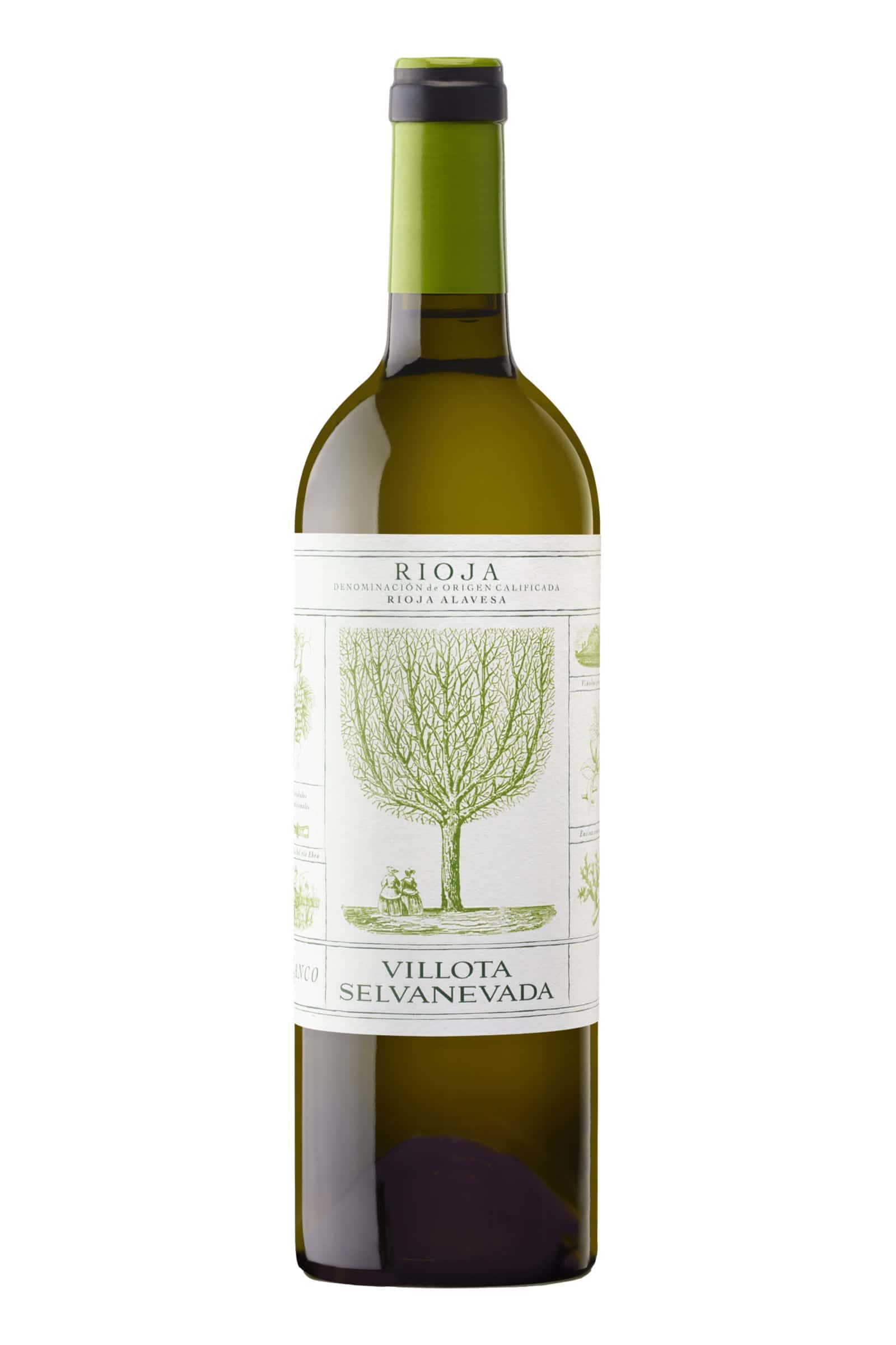 Villota Selvanevada Blanco